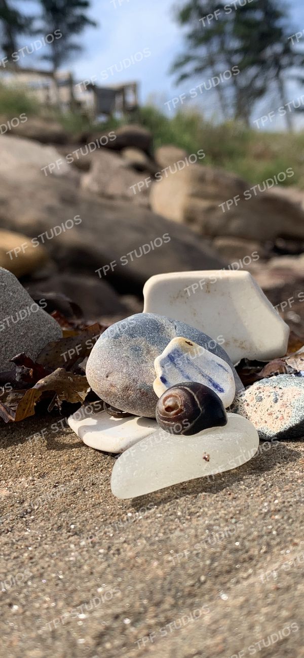 Sea glass & shell